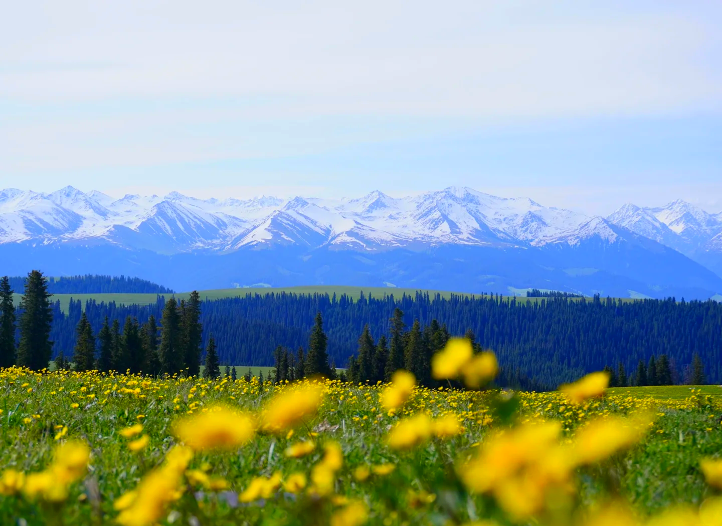 喀拉峻草原景區